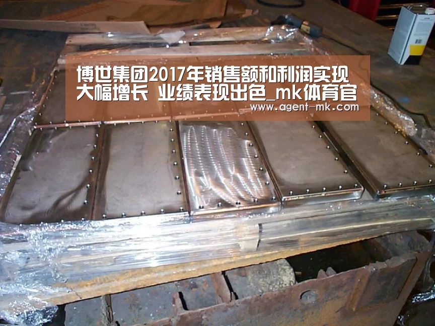 博世集团2017年销售额和利润实现大幅增长 业绩表现出色_mk体育官网(图2) mk体育官网