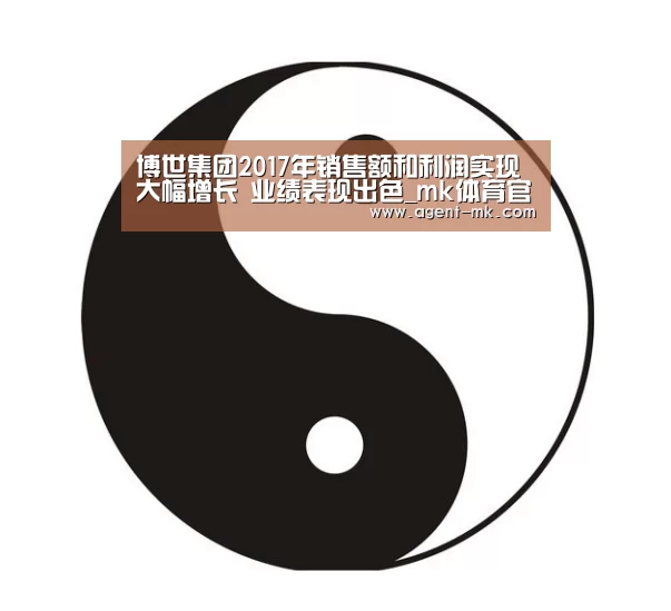 博世集团2017年销售额和利润实现大幅增长 业绩表现出色_mk体育官网(图3) mk体育入口