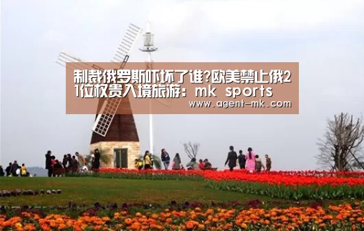 mk体育入口