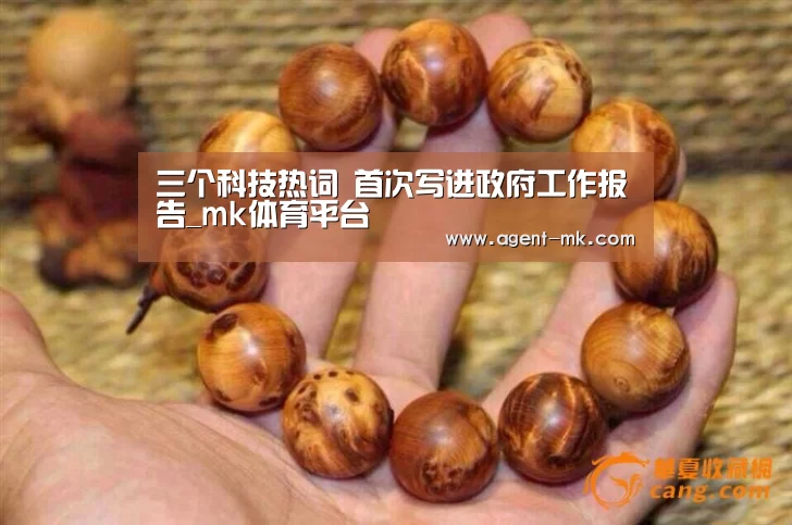 mk体育入口