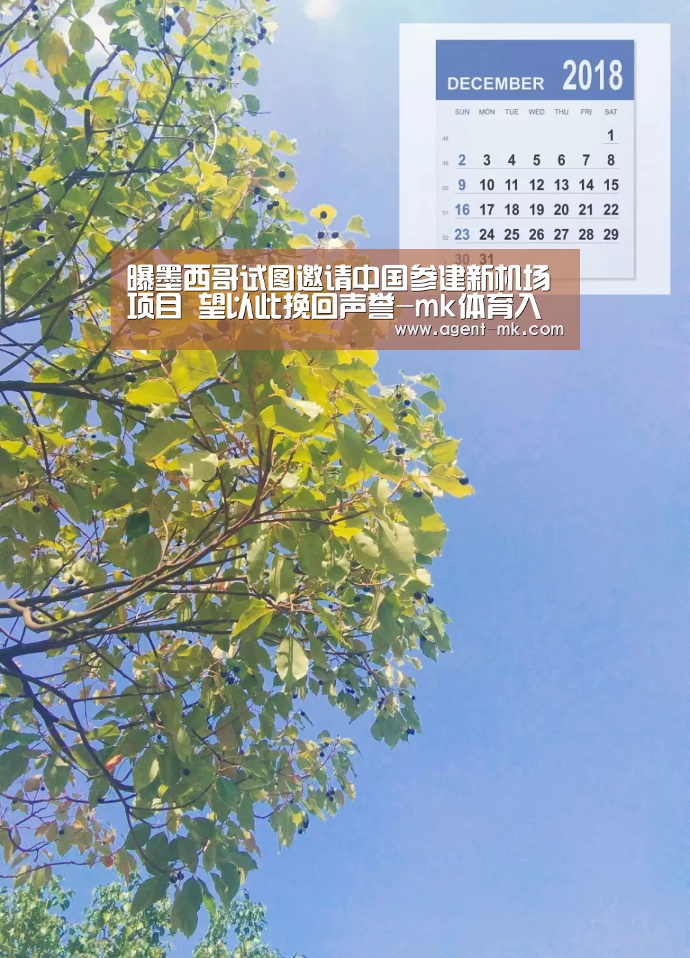 曝墨西哥试图邀请中国参建新机场项目 望以此挽回声誉-mk体育入口(图1) mk sports