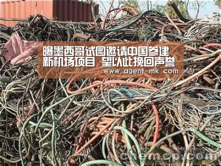 曝墨西哥试图邀请中国参建新机场项目 望以此挽回声誉-mk体育入口(图4) mk体育平台