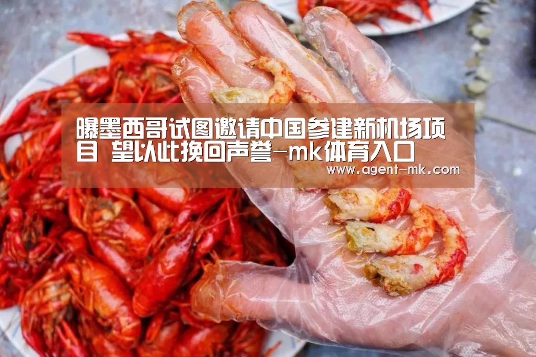 曝墨西哥试图邀请中国参建新机场项目 望以此挽回声誉-mk体育入口(图3) mk体育平台