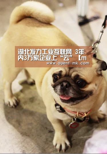 湖北发力工业互联网 3年内3万家企业上“云”【mk体育官网】(图4) mk体育平台