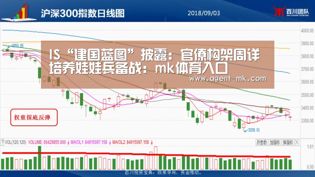 IS“建国蓝图”披露:官僚构架周详 培养娃娃兵备战:mk体育入口(图3) mk体育官网
