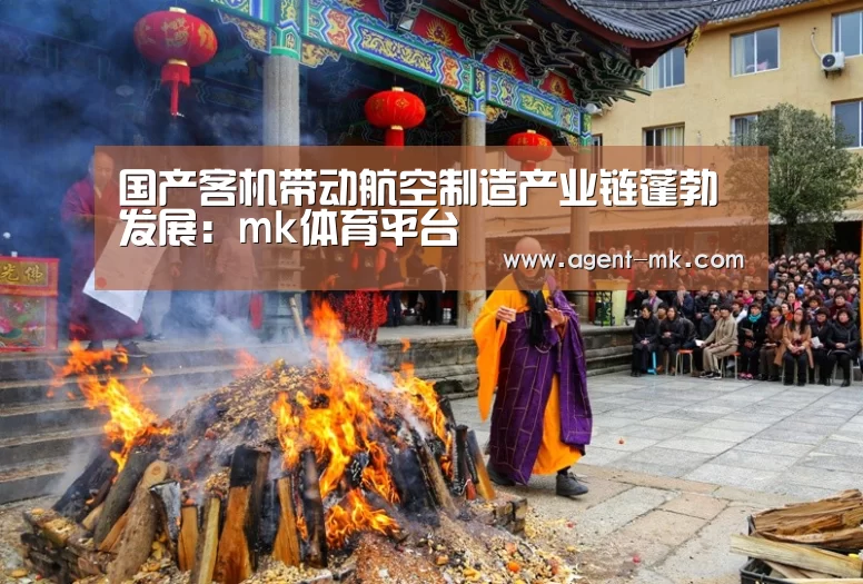 国产客机带动航空制造产业链蓬勃发展:mk体育平台(图1) mk体育入口